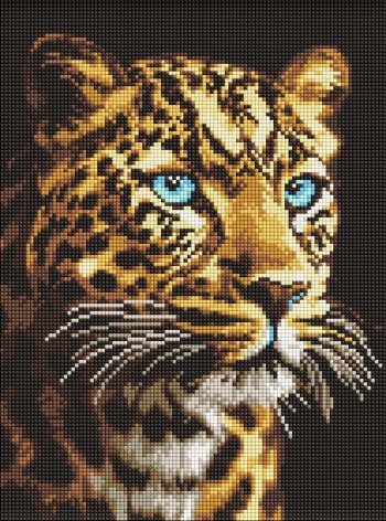 Набір з алмазною мозаїкою 