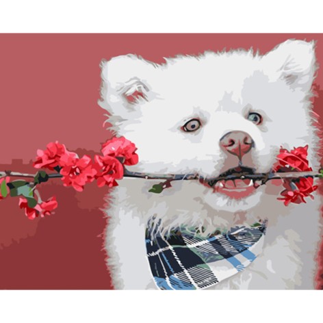 Набір для розпису по номерах Білий джентельмен Strateg розміром 40х50 см (GS948)