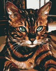 Картина за номерами Рунічний кіт (40x50) (ВА-0023)
