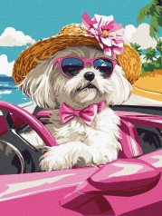 Набір для розпису по номерах Ideyka 