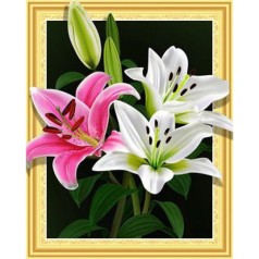 Алмазна мозаїка за номерами 0146ELT 40*50 об'ємна 