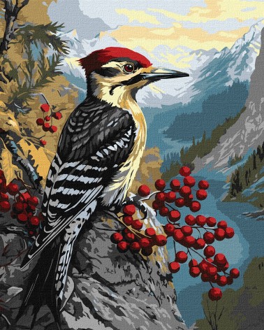 Набір для розпису по номерах 