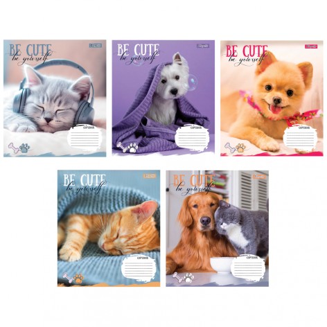 А5/18 кл. 1B Be cute, тетрадь учнів. 25 шт в уп. //