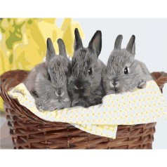 Картина за номерами 