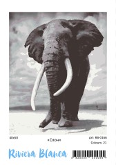 Картина за номерами Слон (40x50) (RB-0166)