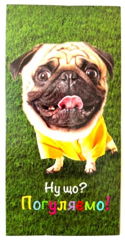 Конверт для грошей КВ-21-224 собака ціна за 10 шт //