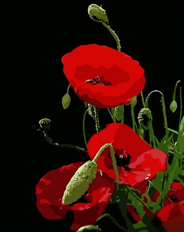 Набір для творчості алмазна картина Червоний мак Strateg розміром 40х50 см (SK88221)