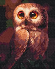 Картина за номерами: Допитлива сова 40*50 BS51861