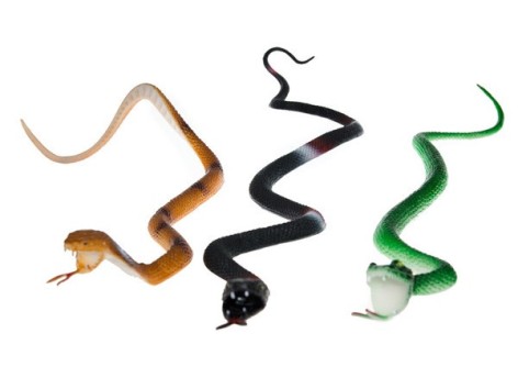 Резиновая змея