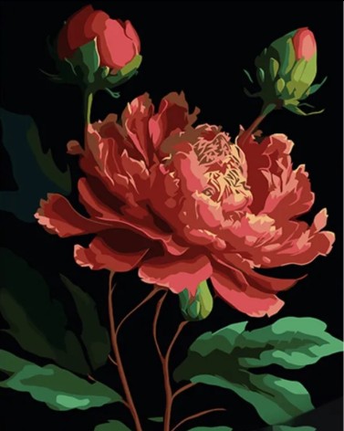 Набір для розпису по номерах Півонії Strateg на чорному фоні розміром 40х50 см (AH1048)
