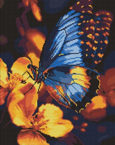 Алмазна мозаїка на підрамнику Ideyka 