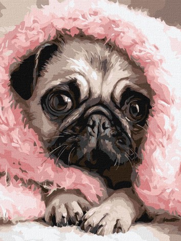 Набір для розпису по номерах 