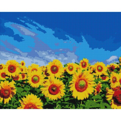 Алмазная мозаика: Поле подсолнечников