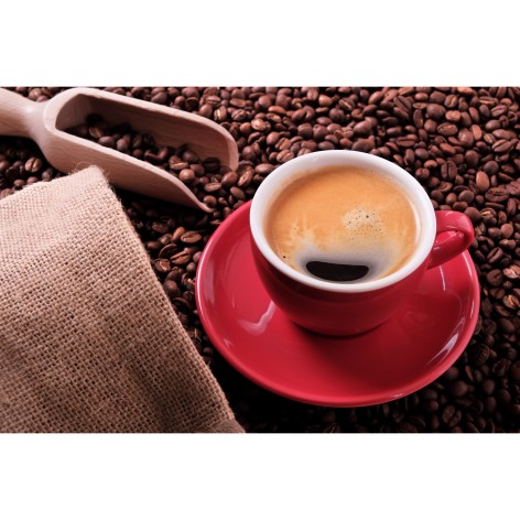 Набор для творчества алмазная картина Кофейное вдохновение Strateg размером 30х40 см (HEG87055)