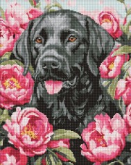 Алмазна мозаїка на підрамнику Ideyka 