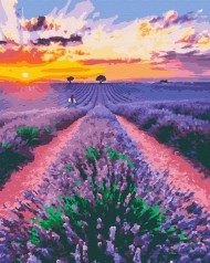 Картина за номерами Lavender Dreams (40x50) (RB-0041)