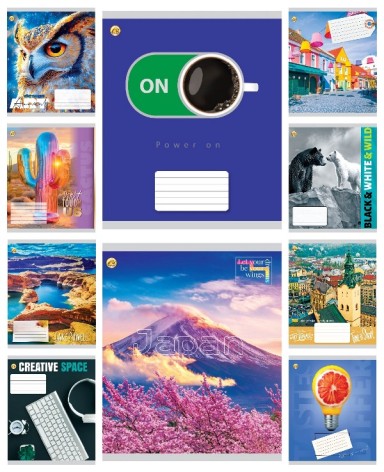 Зошит 48 арк.лінія Тверда ТА52501 МІКС 2, 10/200, 10к. ціна за 10 шт.