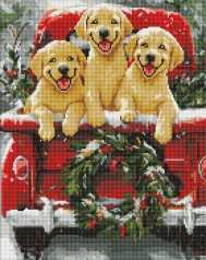 Набір з алмазною мозаїкою 