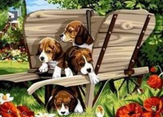 Алмазна мозаїка за номерами 40*50 