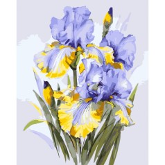 Картина по номерам 