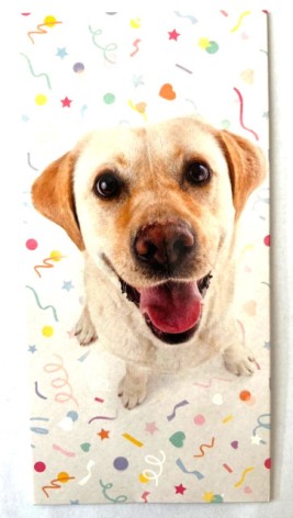 Конверт для грошей КВ-21-228 собака ціна за 10 шт //