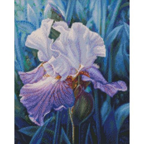 Алмазная мозаика "Весенний ирис" 40х50см