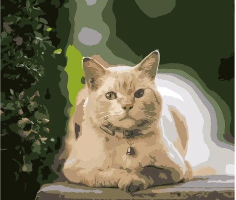 Набір для розпису по номерах Кіт на відпочинку Strateg розміром 40х50 см (DY182)