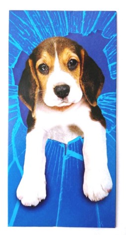 Конверт для грошей КВ-21-229 собака ціна за 10 шт //