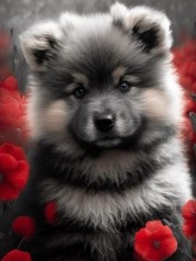 Набір для творчості алмазна картина Щеня серед цвіту маку Strateg розміром 40х50 см (SK88249)