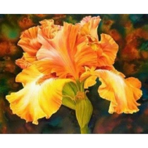 Алмазна мозаїка за номерами 30*40 