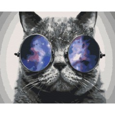 Картина за номерами: Котик на Майамі 40*50 BS29637