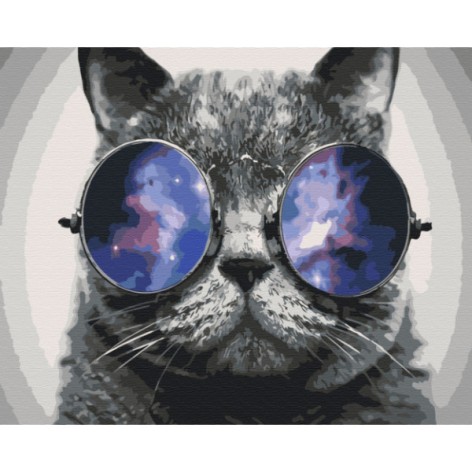 Картина за номерами: Котик на Майамі 40*50 BS29637