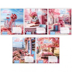 А5/24 лін. 1B Girls dream, тетрадь учнів. 20 шт в уп. //