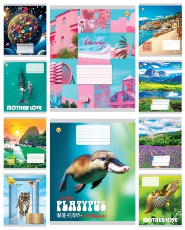 Зошит 48 арк.лінія Тверда ТА52503 МІКС 4, 10/200, 10к. ціна за 10 шт.