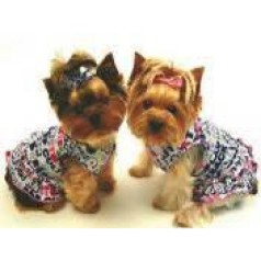 Алмазная мозаика по номерам 30*40 