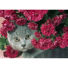 Алмазная мозаика без подрамника 