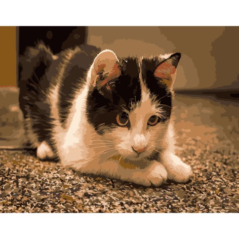 Набір для розпису по номерах Грайливий котик Strateg розміром 40х50 см (DY083)