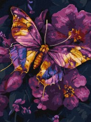 Набір для розпису по номерах 