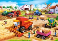 Кастор пазлы 060 