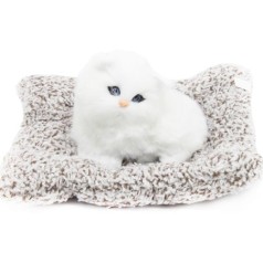 Котик-пушистик на килимку, вид 1