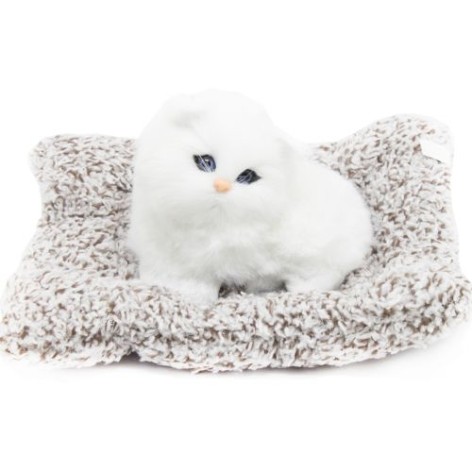 Котик-пушистик на килимку, вид 1