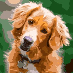 Набір для розпису по номерах Грайливий пес Strateg розміром 40х40 см (SK010)