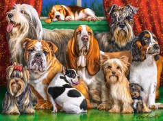 Пазлы Castorland Собаки, 92 x 68 см 3000 элементов