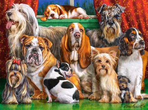 Пазли Castorland Собаки, 92 x 68 см 3000 елементів