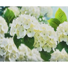 Алмазная картина Белое сияние Strateg 30х40 см (HEG88155)