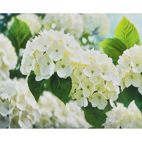 Алмазная картина Белое сияние Strateg 30х40 см (HEG88155)