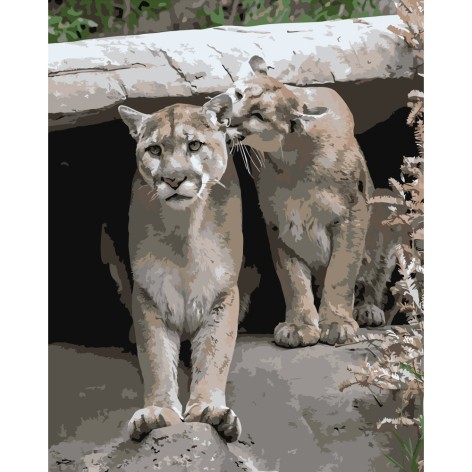 Набір для розпису по номерах Strateg 