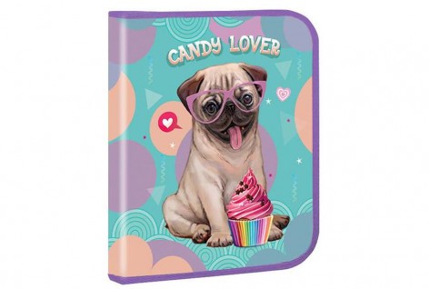 Папка для тетрадей В5 картонная Kidis, серия Candy lover
