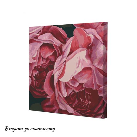 Картина по номерам Riviera Blanca Цветущие пионы 40x40 см (RB-0911)