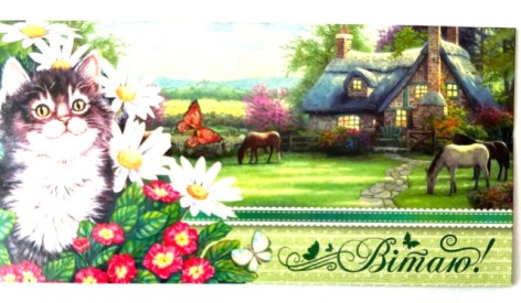 Конверт для грошей КПУ16-06 укр(ж) Вітаю! ціна за 10 шт //